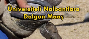 Üniversiteli Nalbantlara Dolgun Maaş