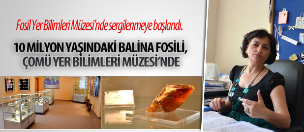  10 Milyon Yaşındaki Balina Fosili, ÇOMÜ Yer Bilimleri Müzesi’nde