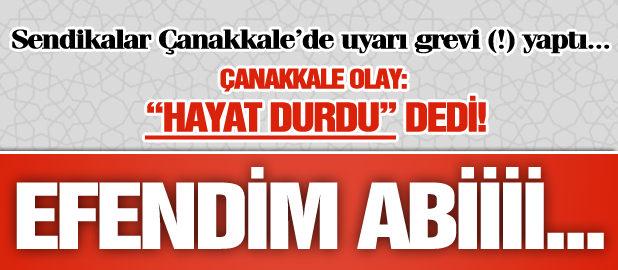Efendim Abi!