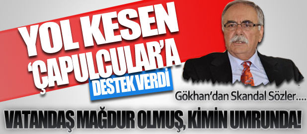 Ülgür Gökhan'dan Eylemcilere Yönelik Şok Sözler