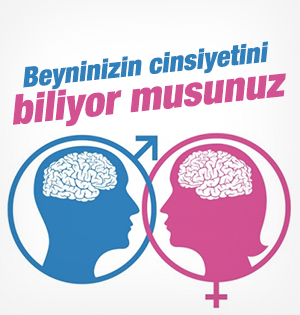 Beyninizin cinsiyetini biliyor musunuz
