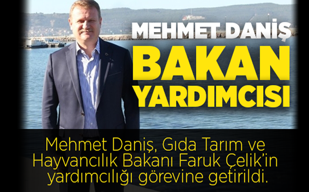 Mehmet Daniş Bakan Yardımcısı Oldu