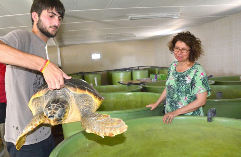 Yeryüzünün 100 Milyon Yıllık Sakinleri ÇOMÜ’de Hayat Buluyor