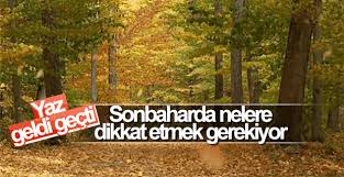 Sonbaharda dikkat edilmesi gereken hususlar